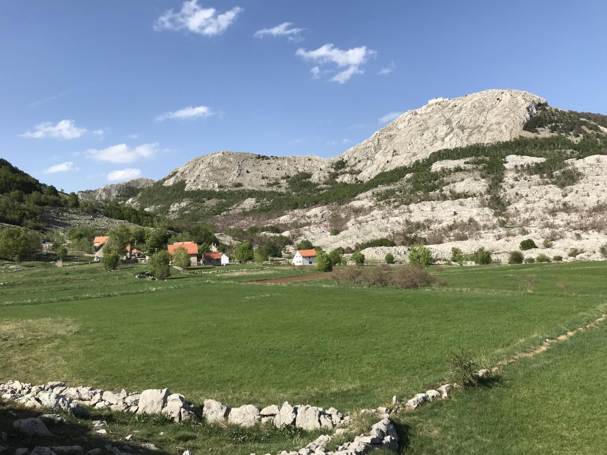 Lovcen Holiday Home Цетине Экстерьер фото